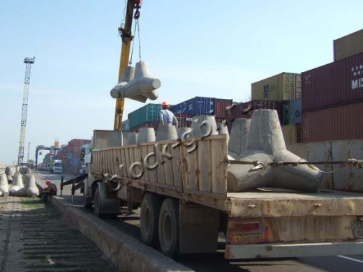 Тетрапод Т-1,5